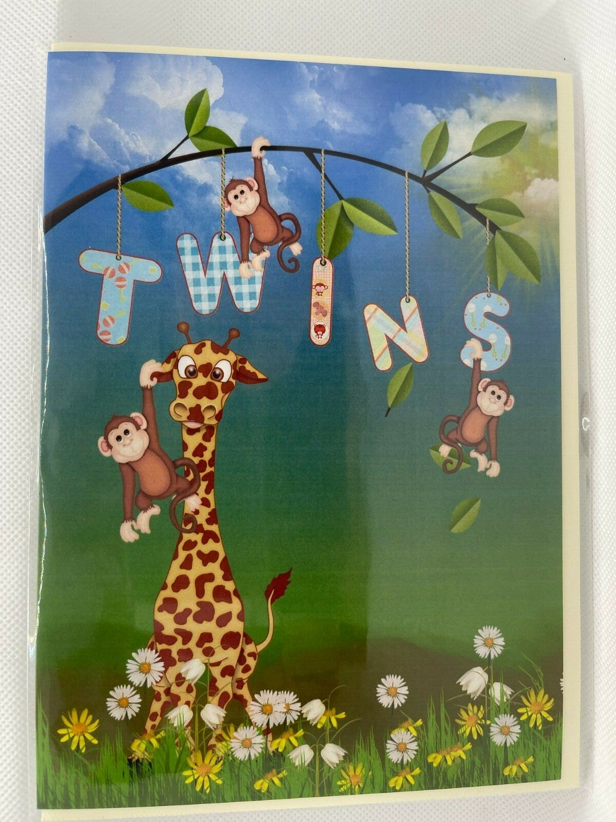 Twins (Birth Congratulations Greeting Card)