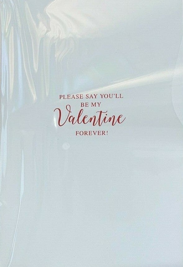 For The One I Love on Valentine's Day ( Valentines Day Card / Greeting Card )