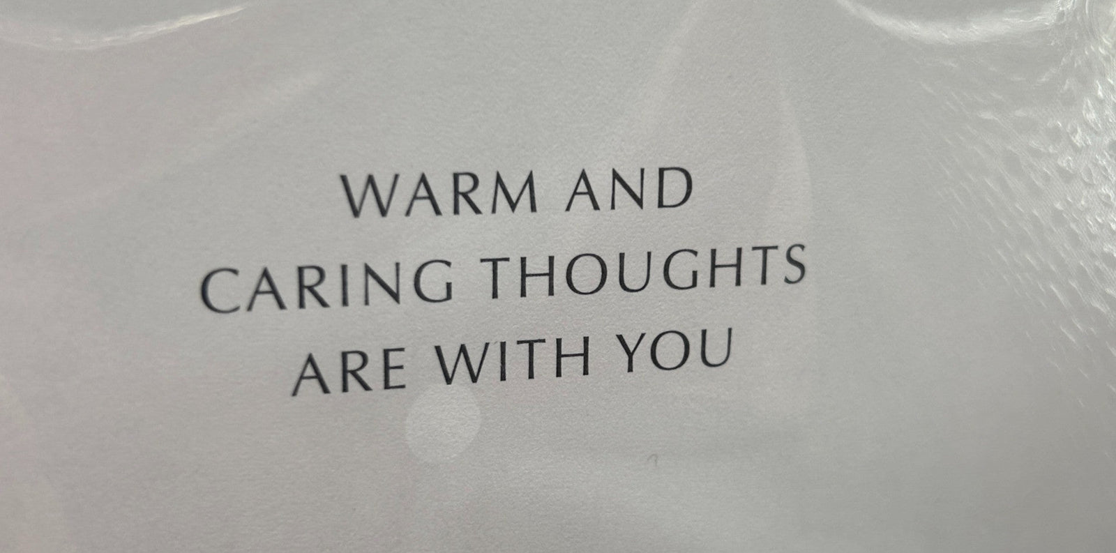 With Sympathy In the Loss of Your Loved One (Sympathy Greeting Card)