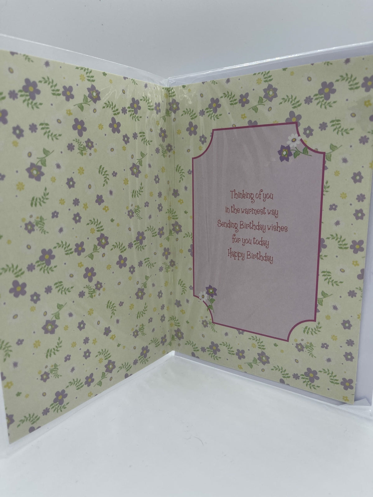 Have a Lovely Birthday (Birthday / Greeting Card)