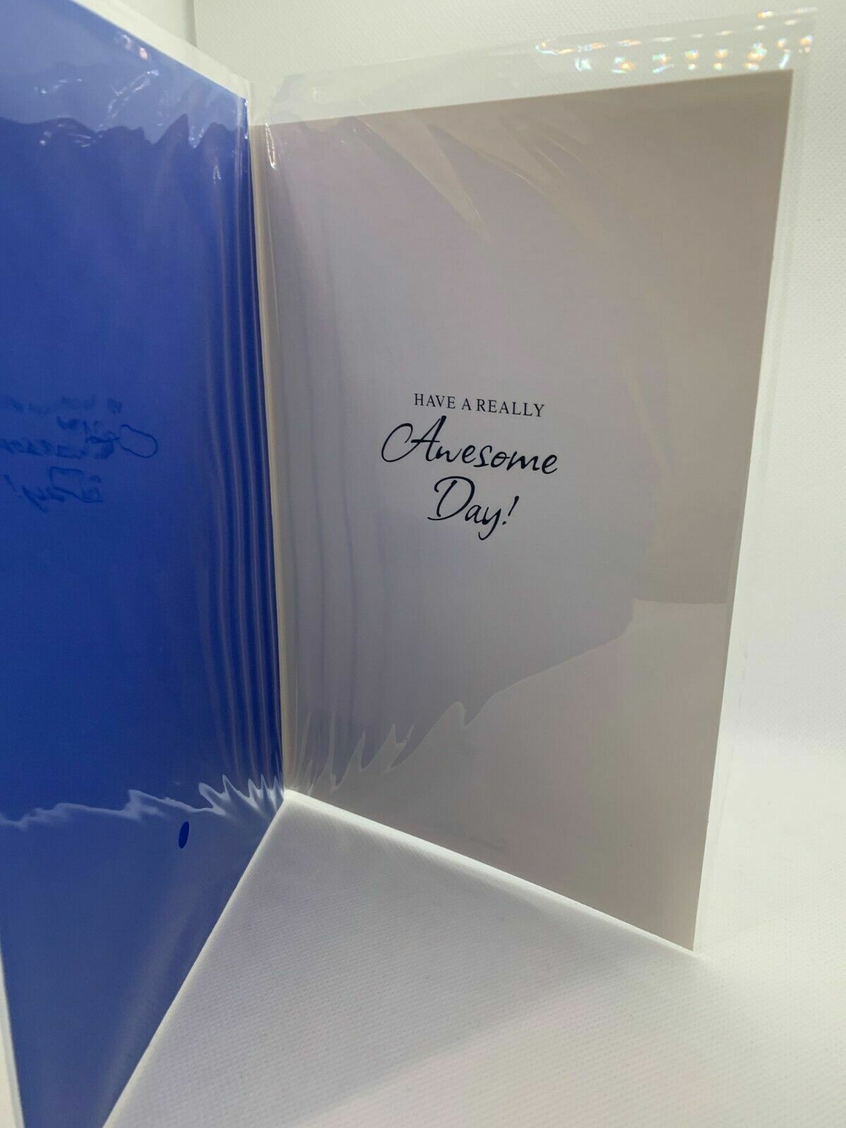 Birthday Wishes  (Birthday Card / Greeting Card)