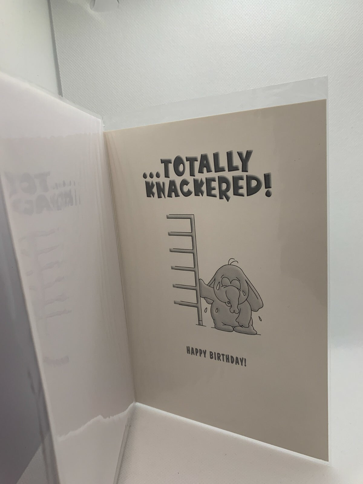 Another Year Older  (Greeting Card)