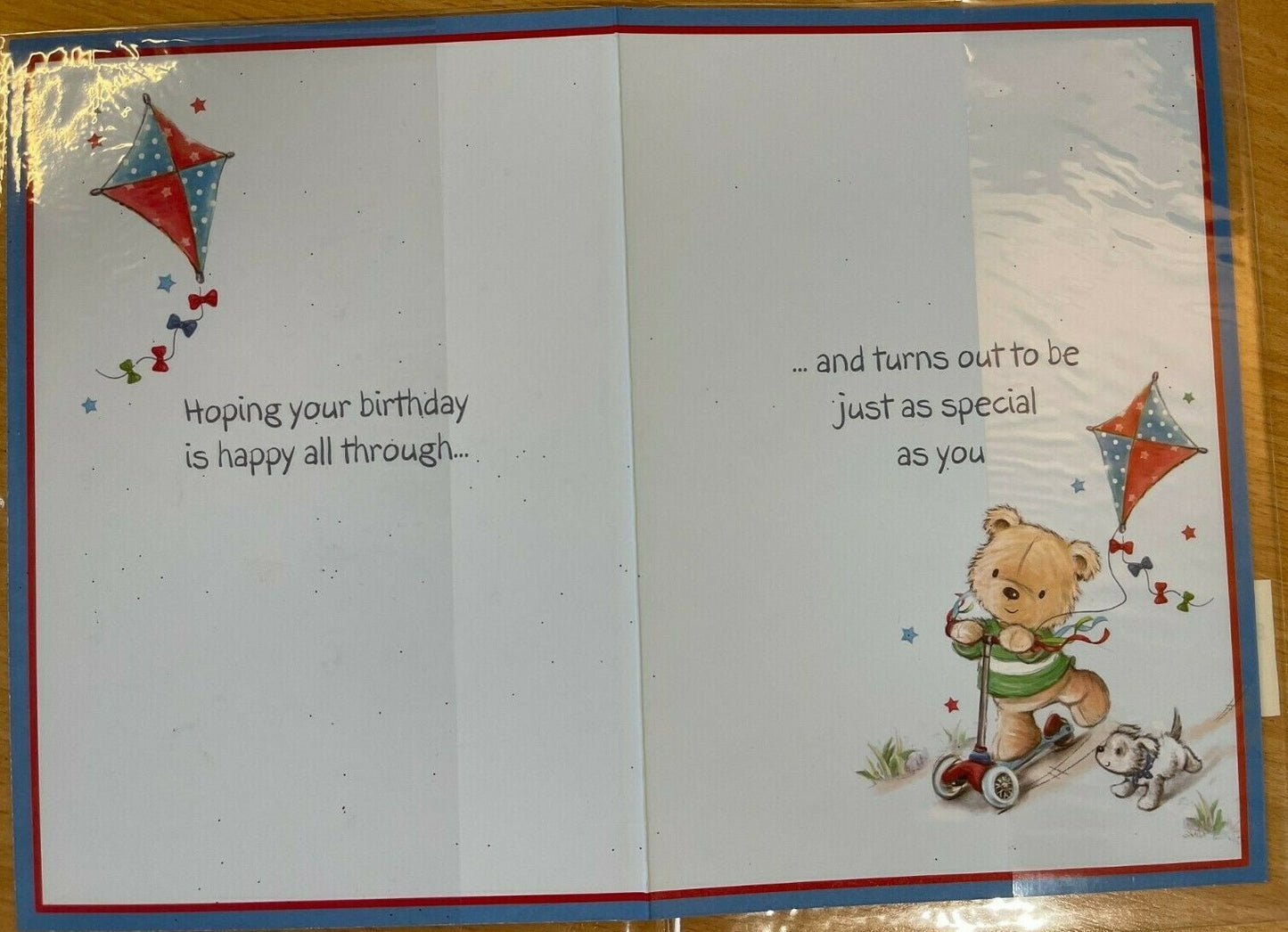 It's Your Birthday, Nephew Have Lots Of Fun  (Birthday Card / Greeting Card)