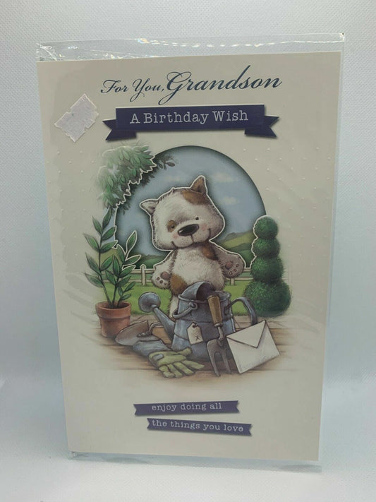 For You Grandson A Birthday Wish  (Birthday Card / Greeting Card)