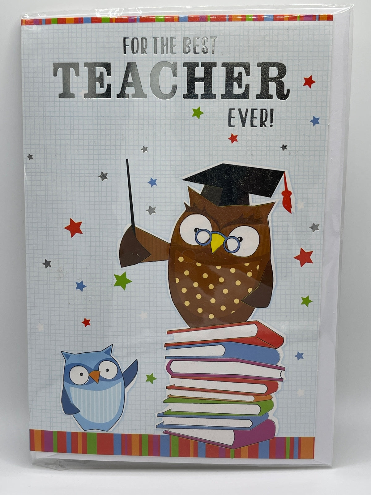 For the Best Teacher ever! (Greeting Card)
