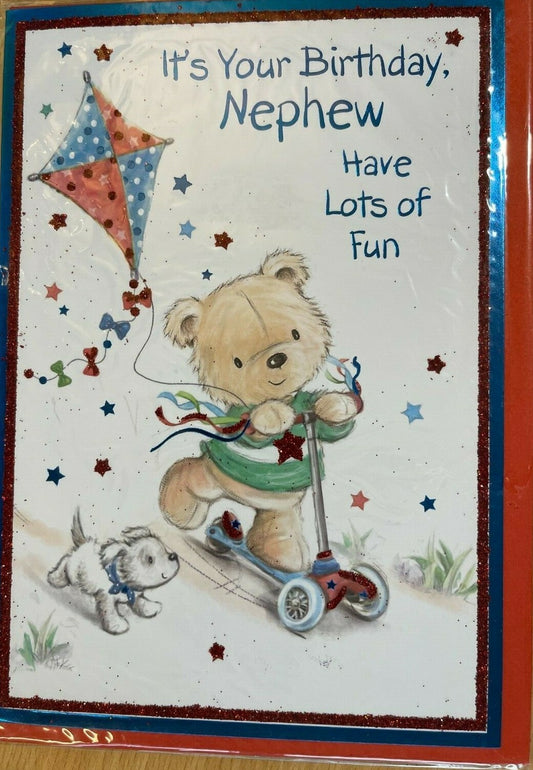 It's Your Birthday, Nephew Have Lots Of Fun  (Birthday Card / Greeting Card)