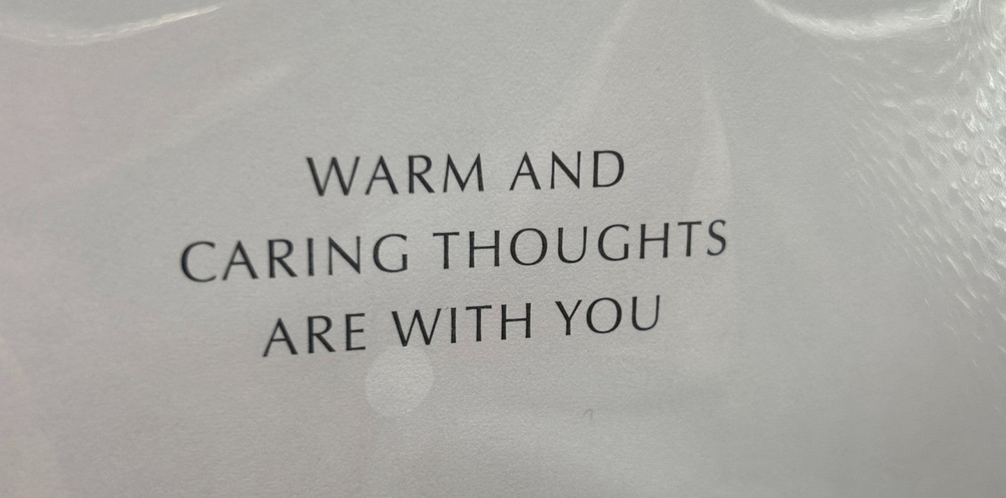 With Sympathy to all the Family (Greeting Card)