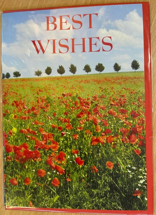 Best Wishes  (Greeting Card)