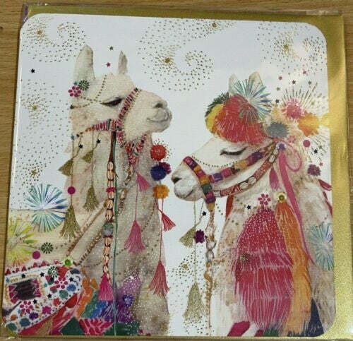 Colourful Alpaca Greeting Card (Blank)