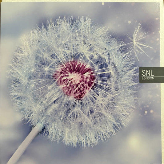 Dandelion Blank Card (Greeting Card)