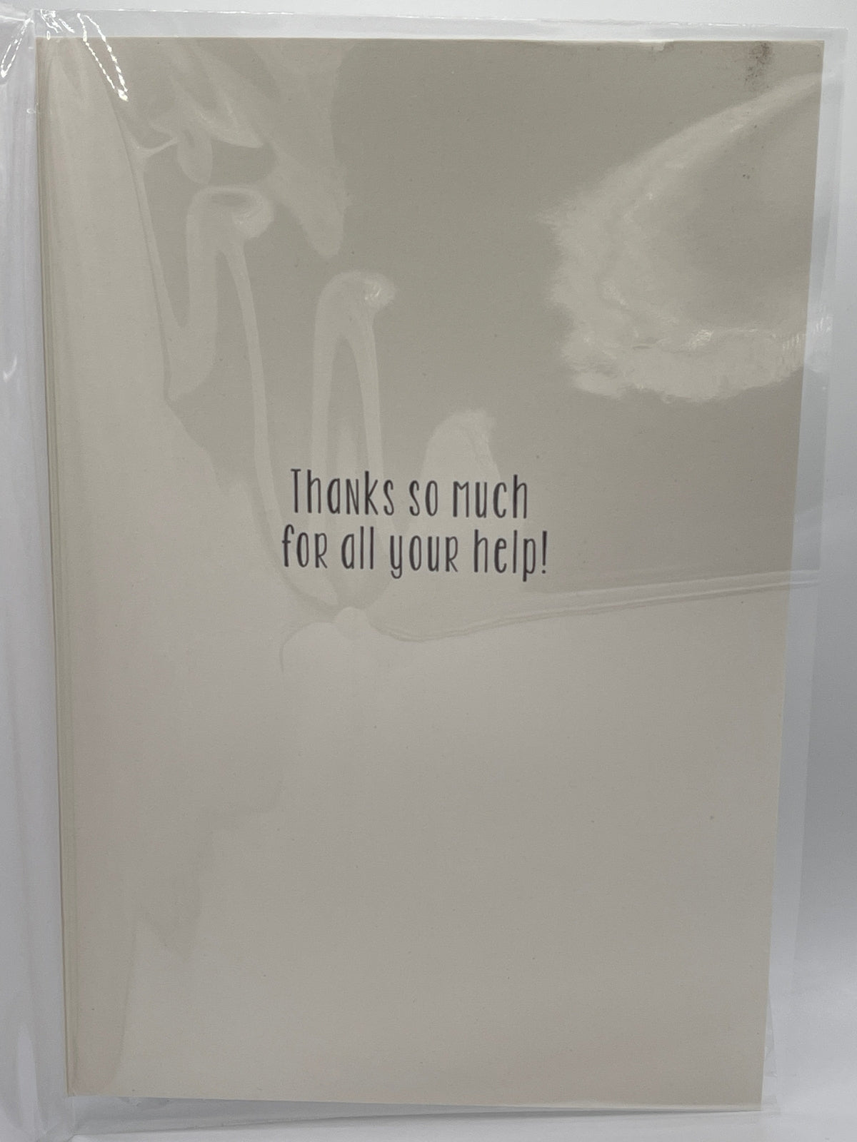 For the Best Teacher ever! (Greeting Card)