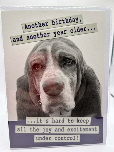 Another birthday, and another year older ... (Birthday Greeting Card)