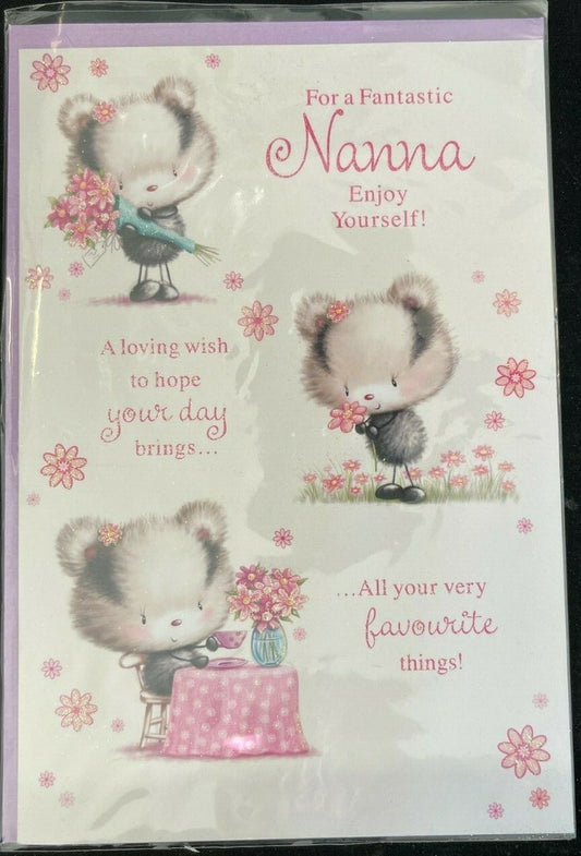 For a Fantastic Nanna Enjoy Yourself! (Birthday / Greeting Card)