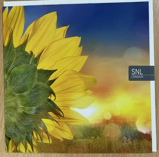 Sunflowers and Sun Greeting Card  (Blank)